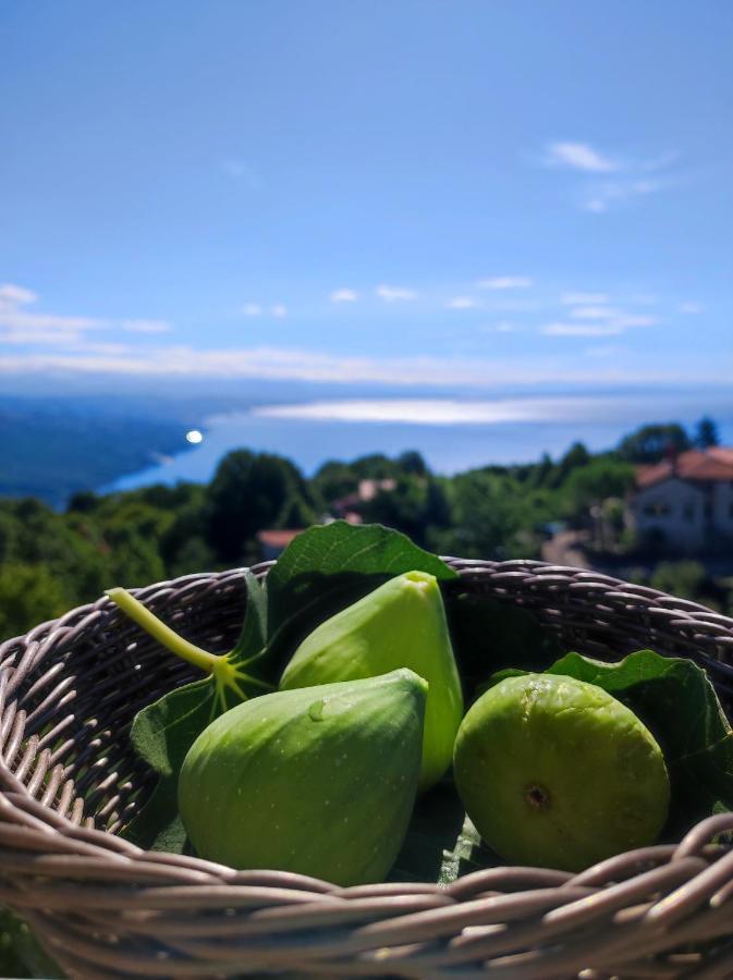 Uphill Opatija Apartment Bagian luar foto